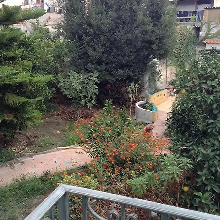 L'antica Cantina Usini