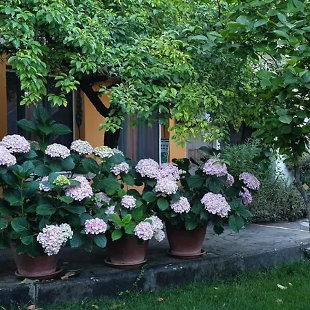 L'antica Cantina Bed & Breakfast