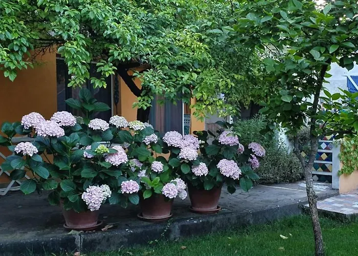 L'antica Cantina Bed & Breakfast